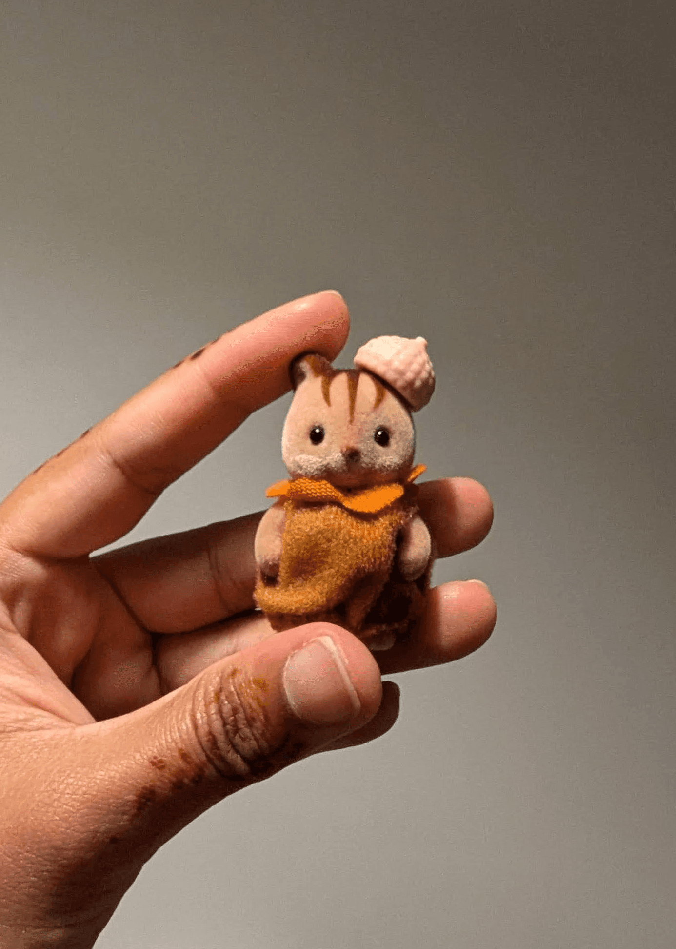 shot of a hand holding a small squirrel wearing a nut as a hat on one of its ears