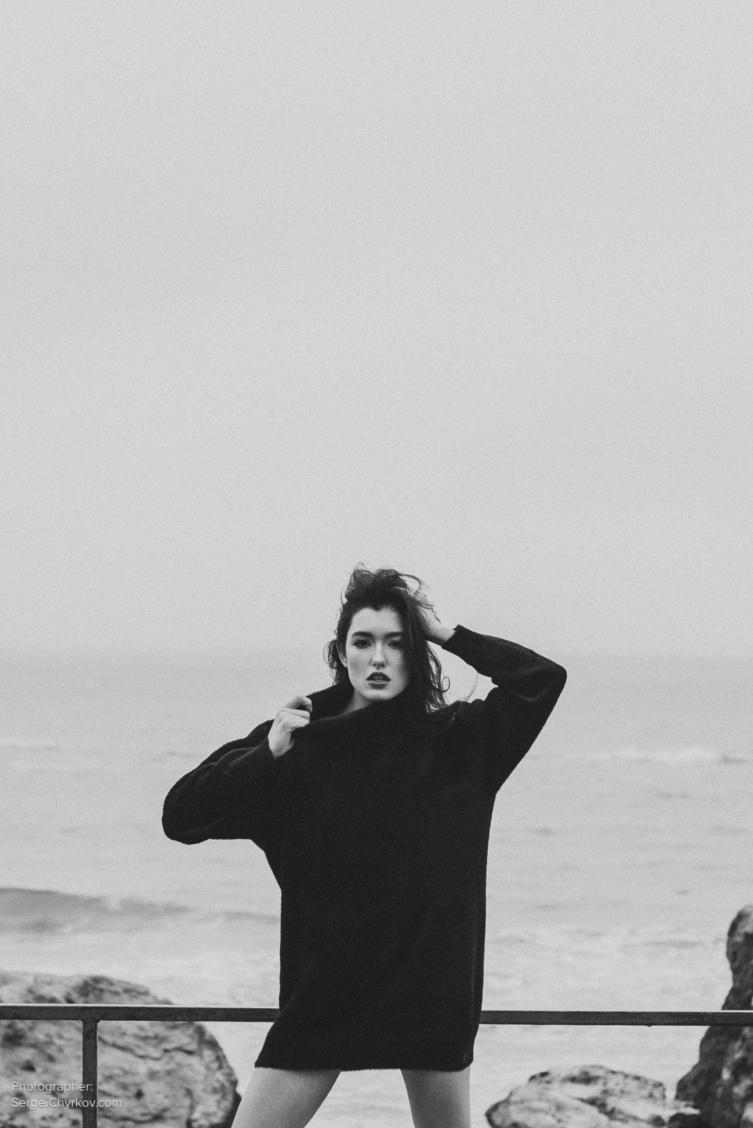 Seagulls by Sergei Chyrkov