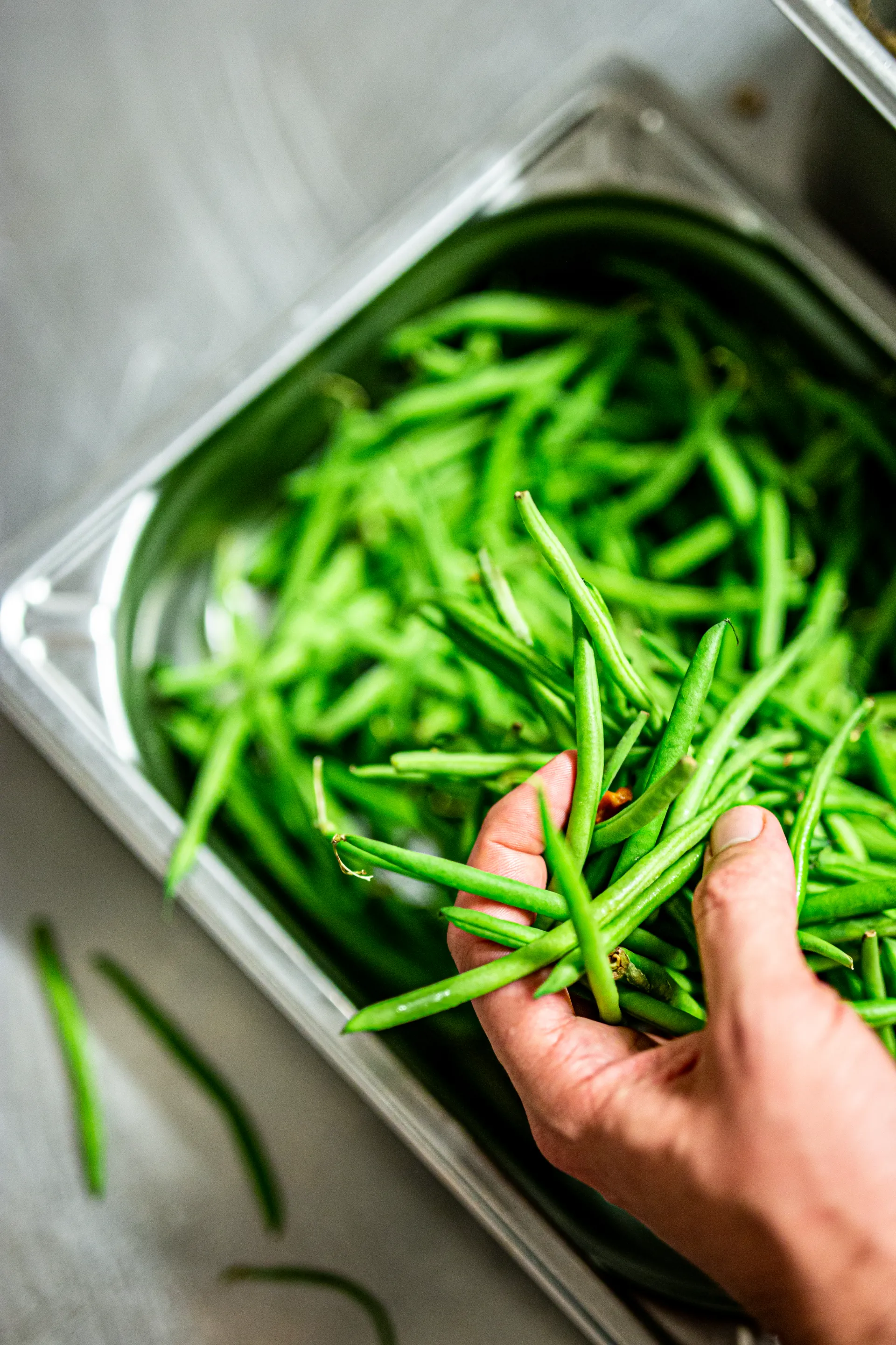 Haricots verts