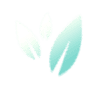 Stylized illustration of three leaves in shades of white and light blue on a black background.