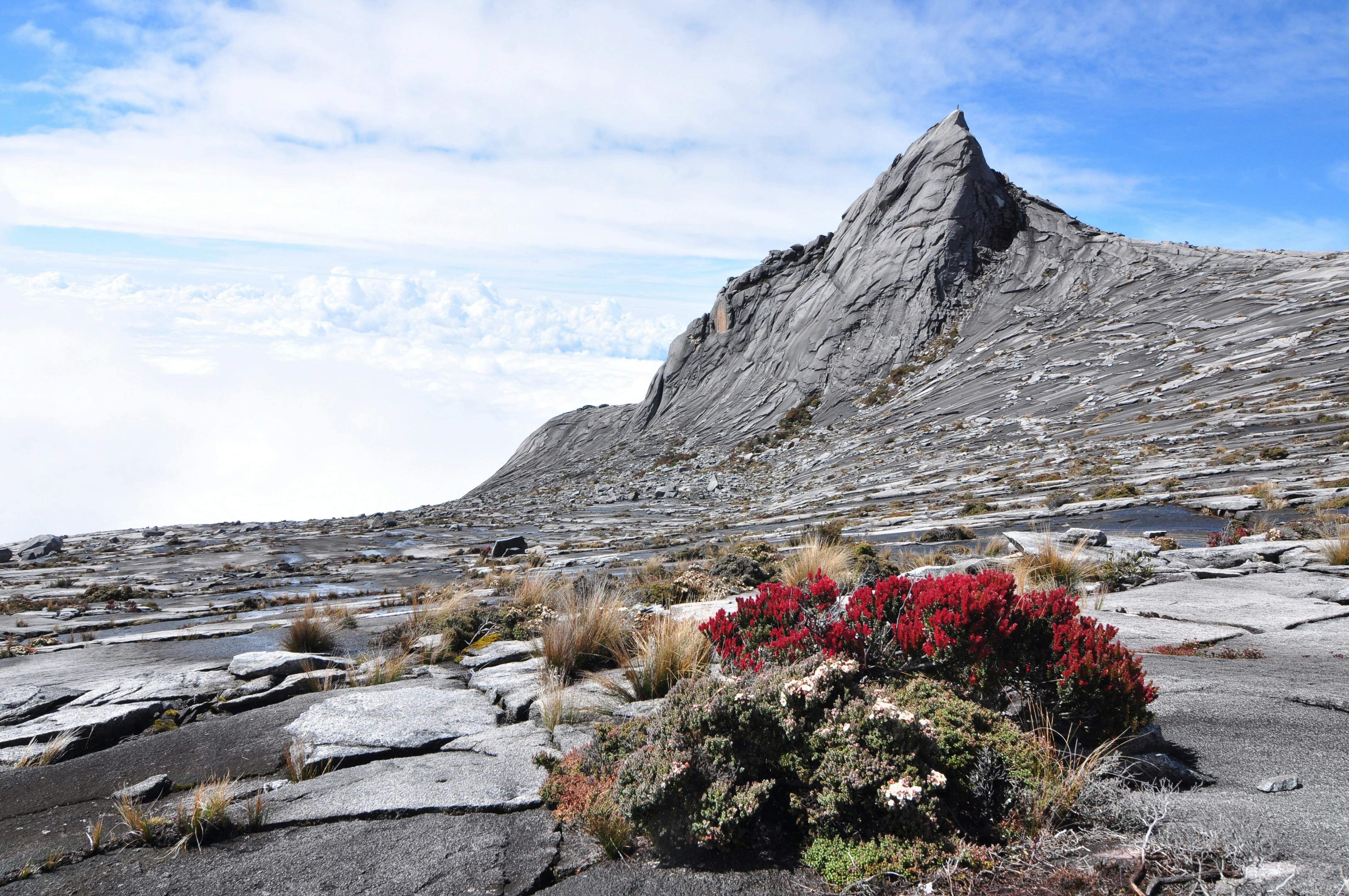 Kinabalu