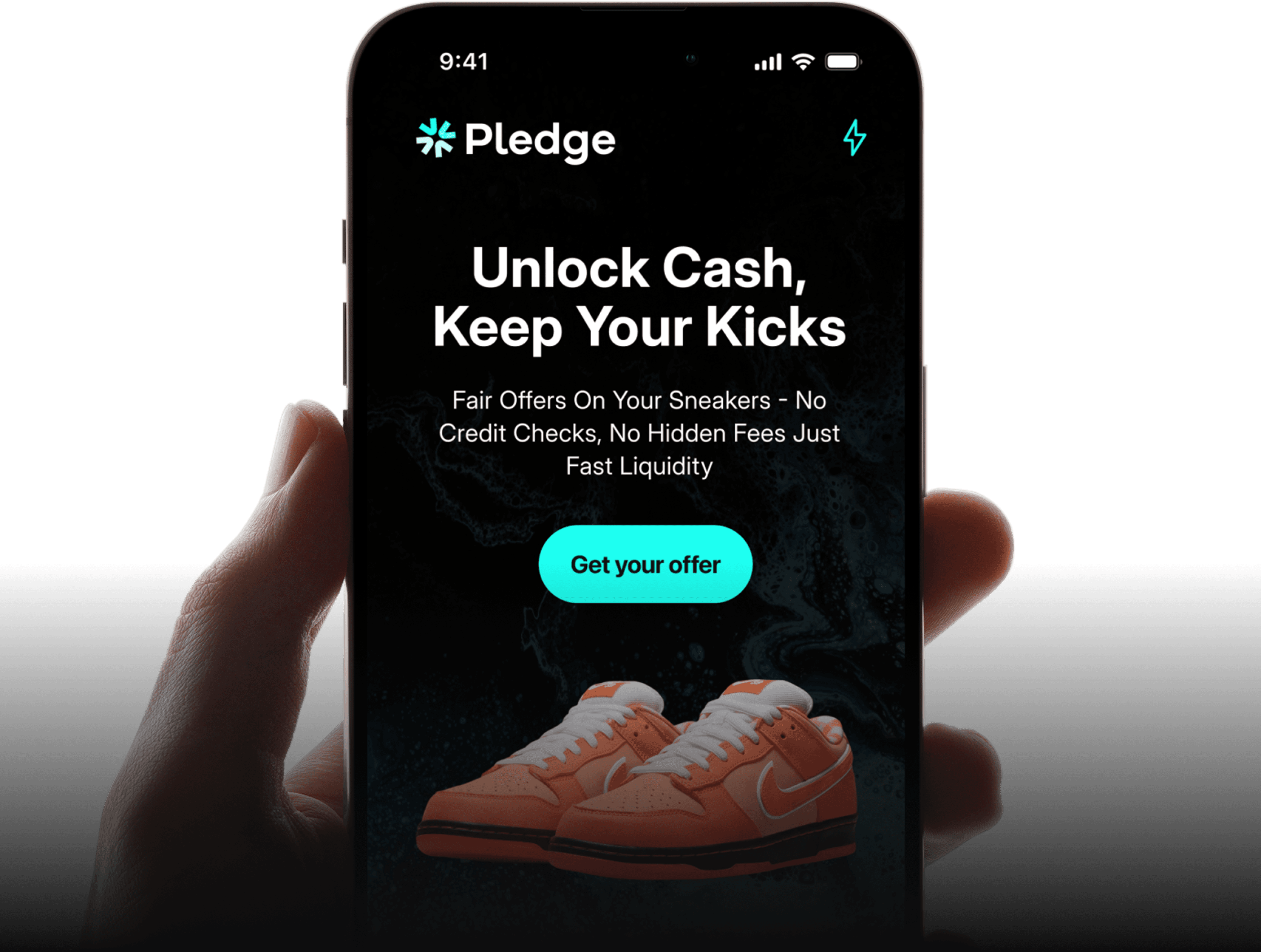 A screenshot of Pledge's website 