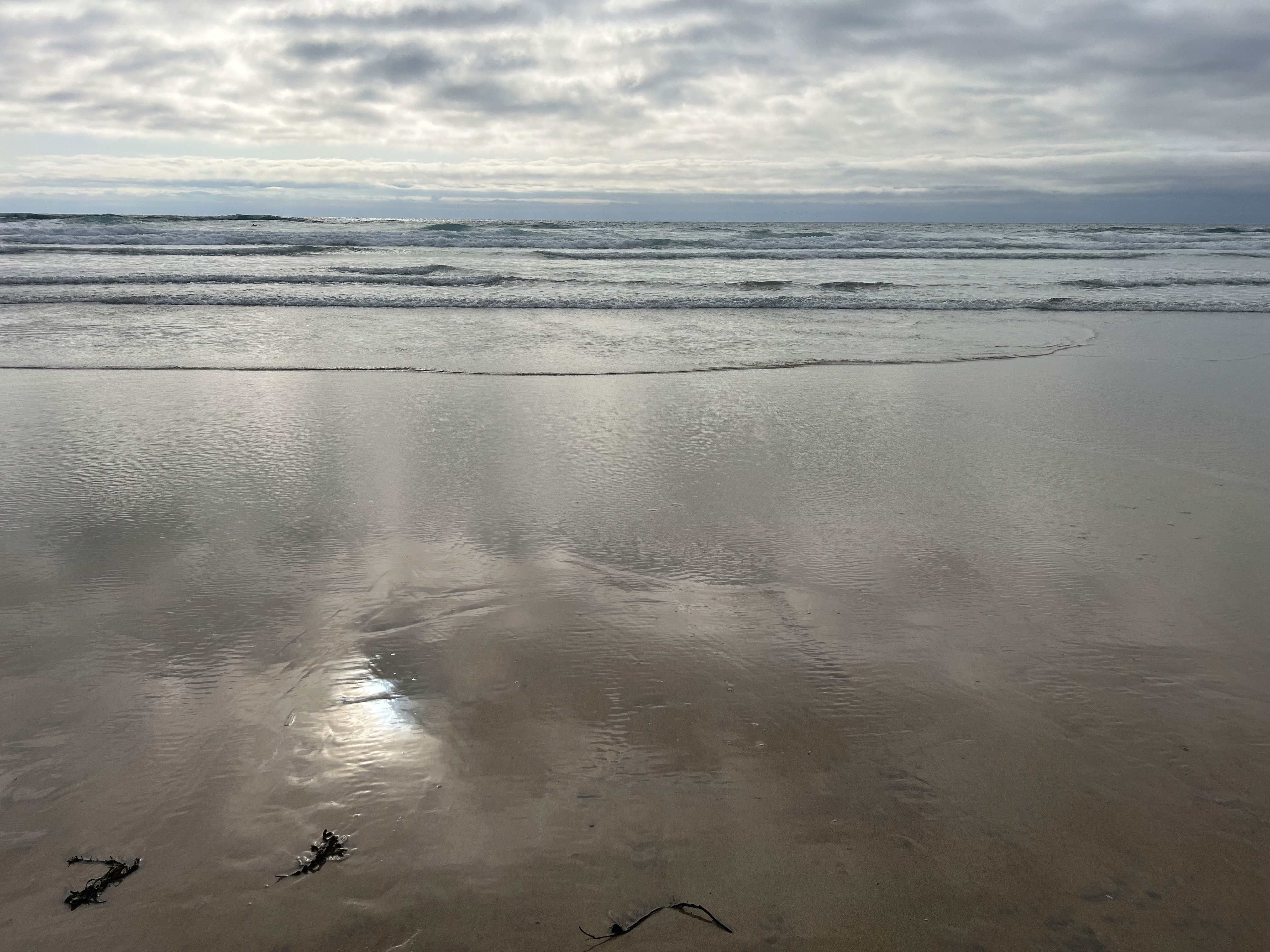 a black and white cat laying on top of a white wall