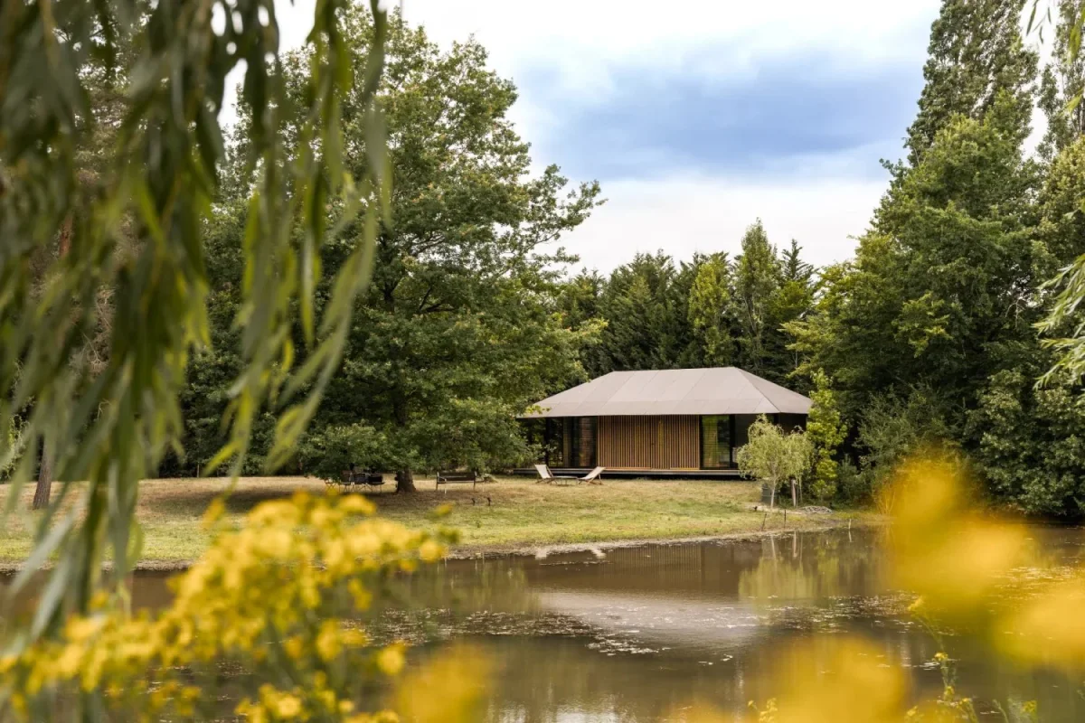Écolodge Teshima Bourgogne vu depuis l'étang, saule pleureur et genêts jaunes au premier plan