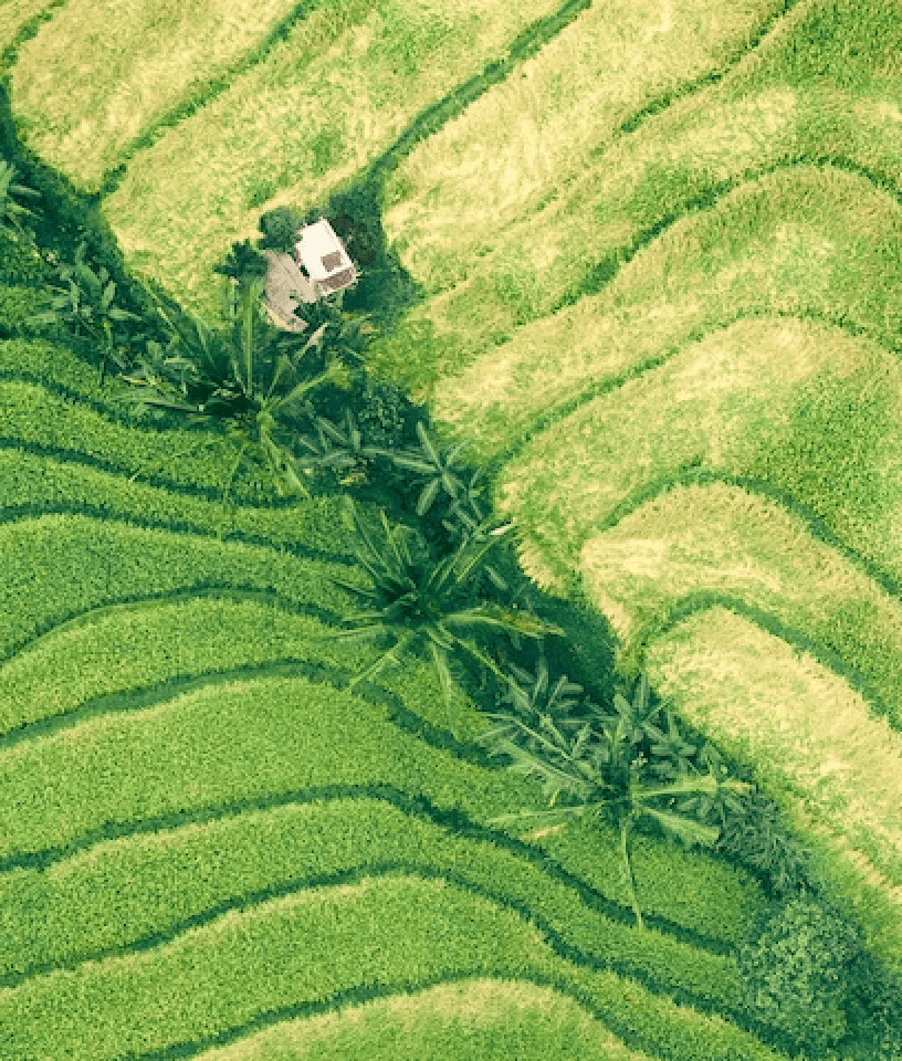 Beautiful landscaped garden with greenery and outdoor design elements.