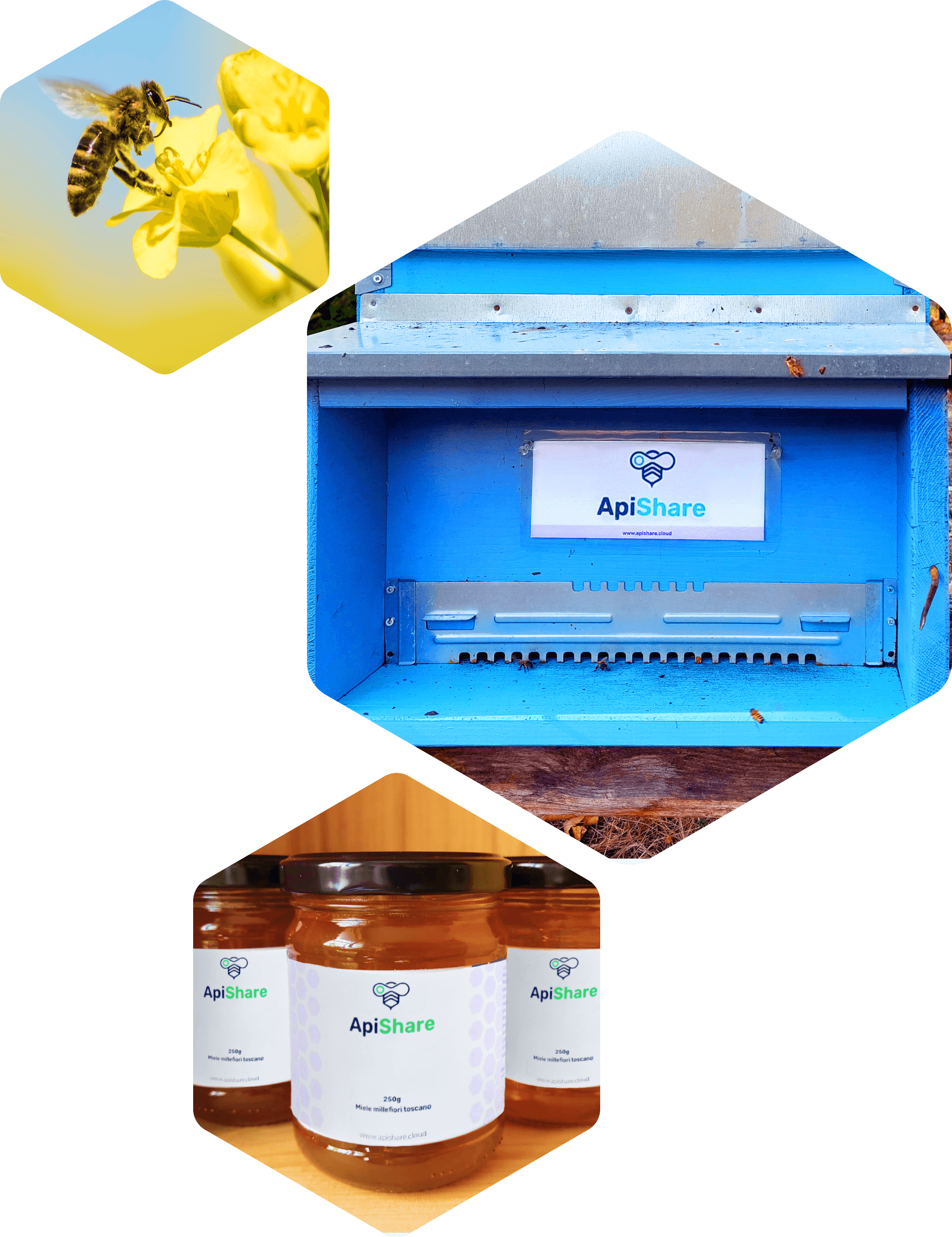ApiShare honey