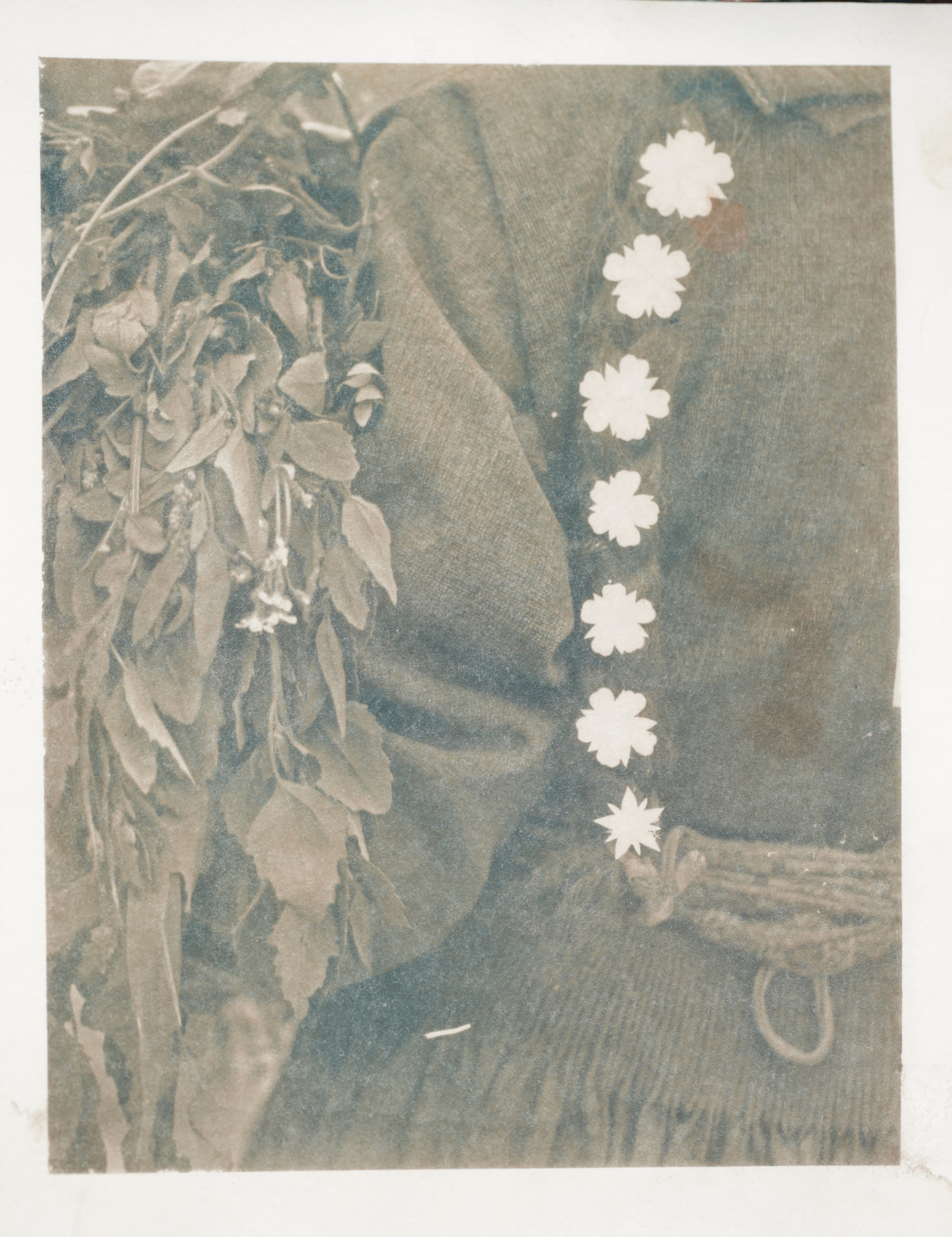 herd of sheep on road painting