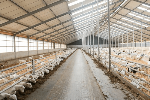 Elektrische installatie koeienstal