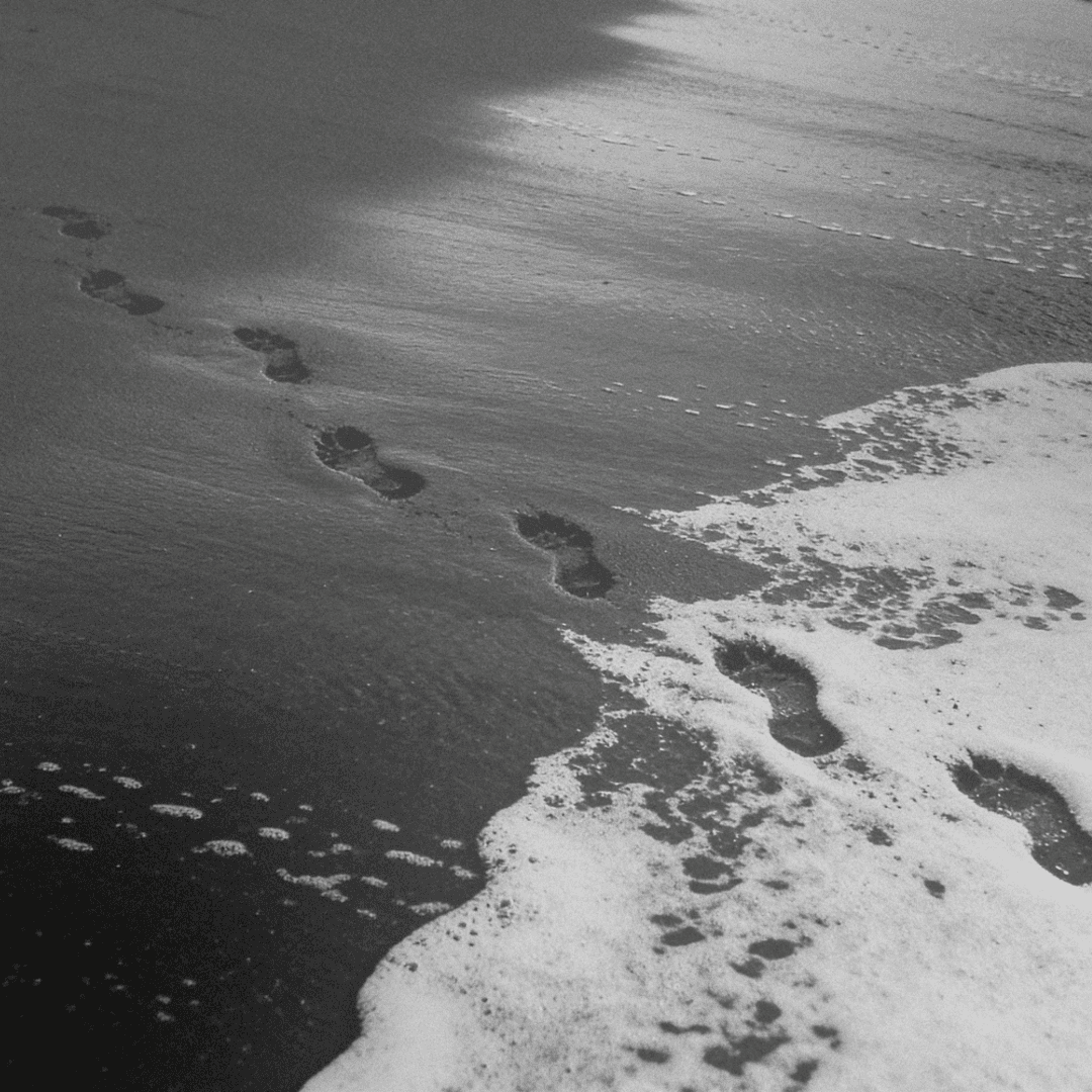 Black sand beach texture detail, Reynisfjara location scouting, Primal nature atmosphere, Curated Visual Ecosystem, Engineered by Aventi