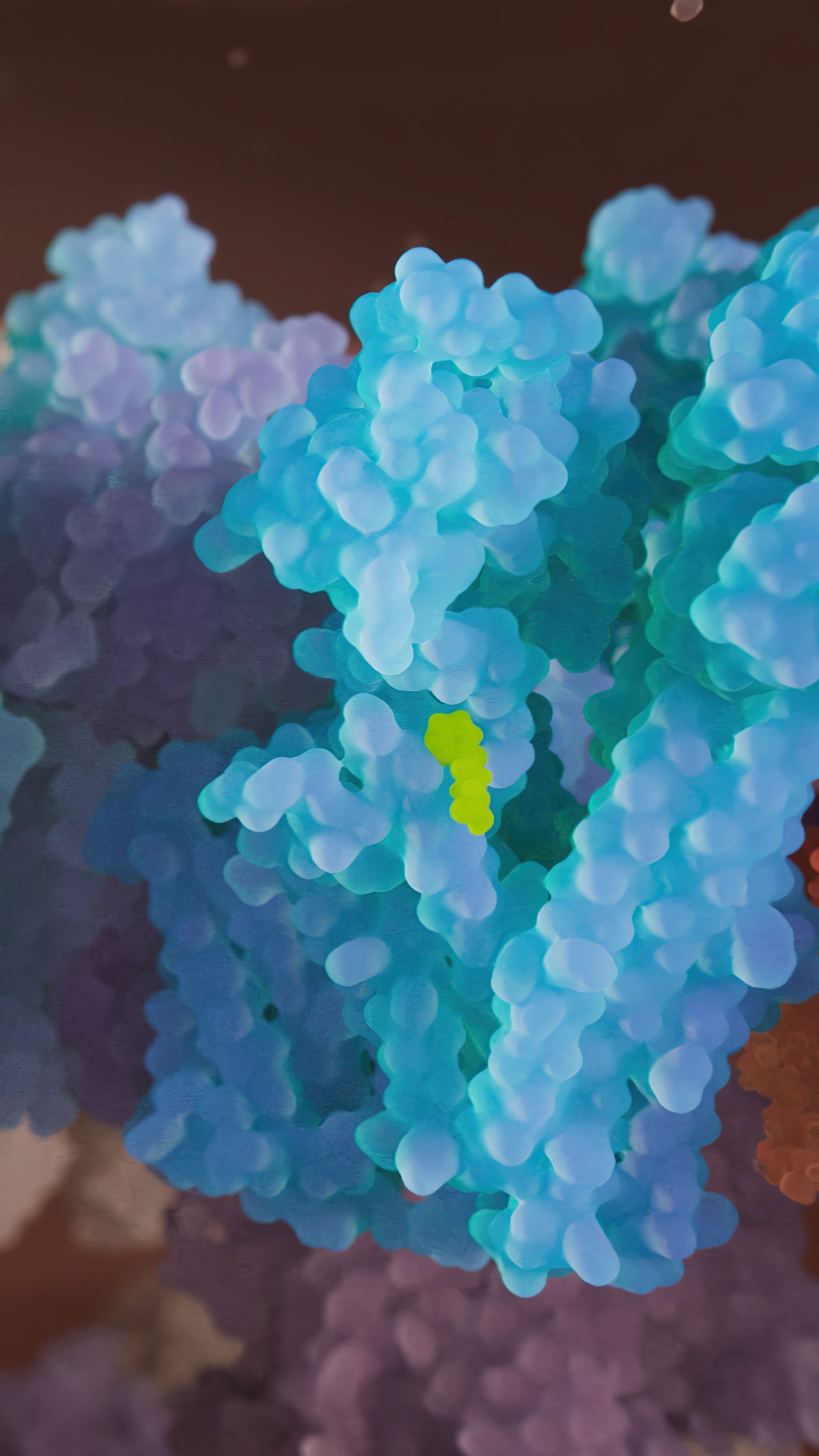 Nicorandil bound to a K+-sensitive ATP channel