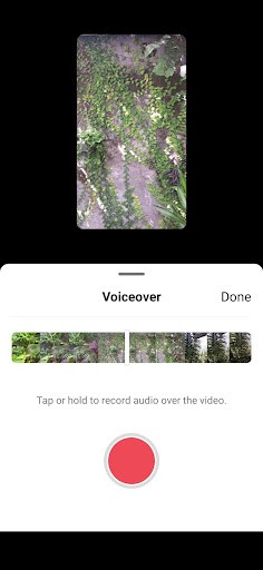 voice effects options