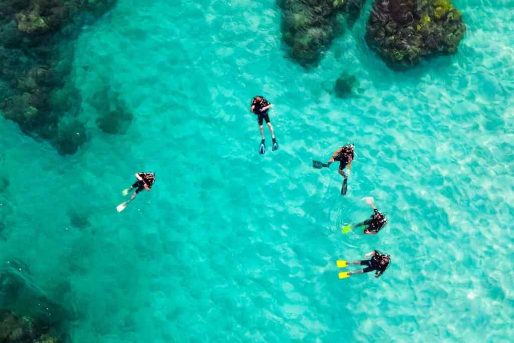 Scuba divers in turquoise waters