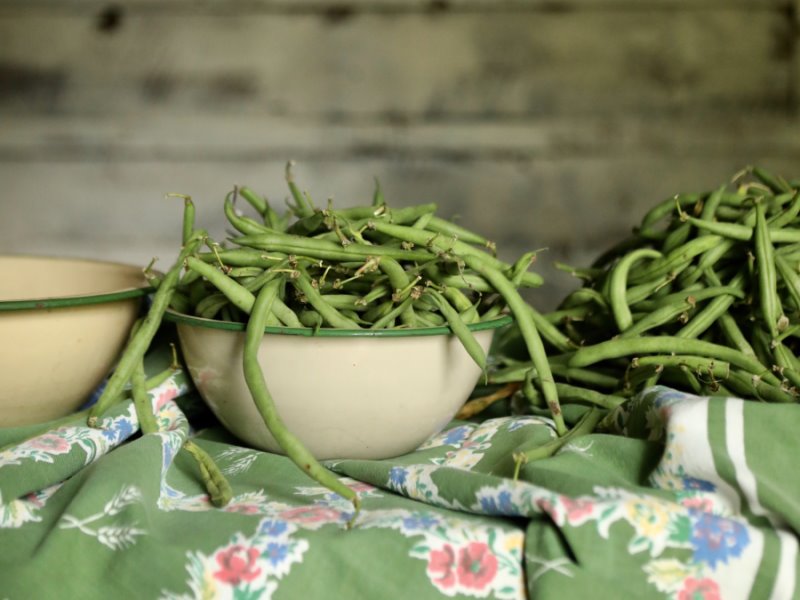 Fagiolini freschi