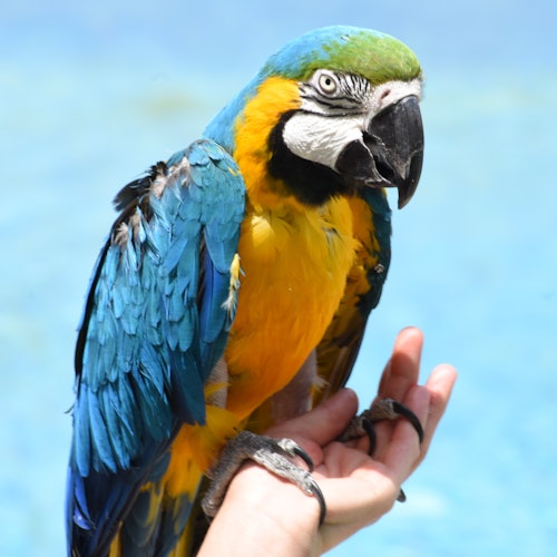 Terra Natura Murcia: Inträdesbiljetter i Murcia