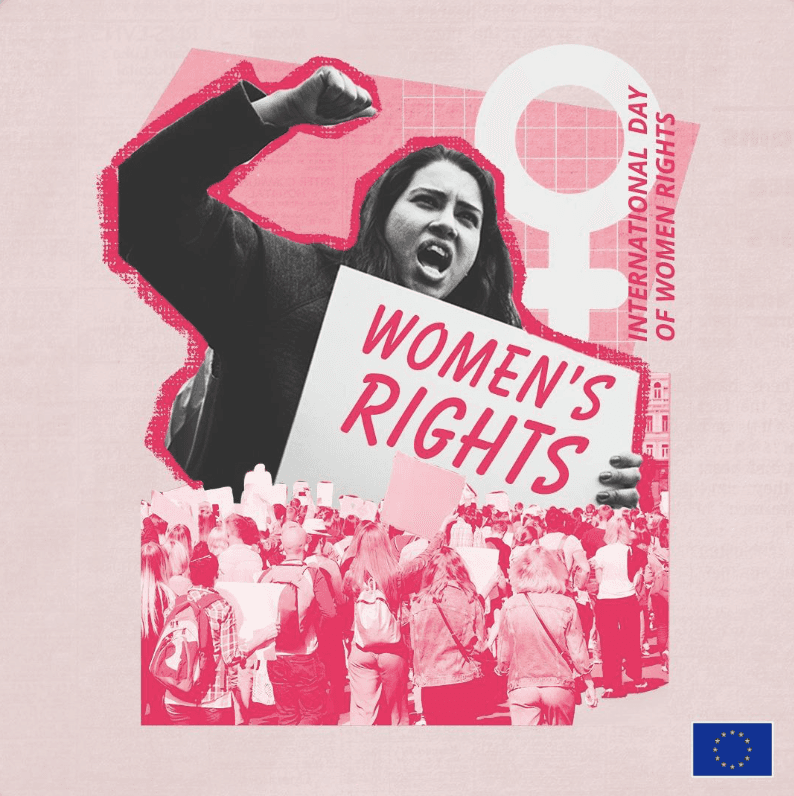 Close-up of lush, dark green leaves, some glossy and wet, against a muted background.