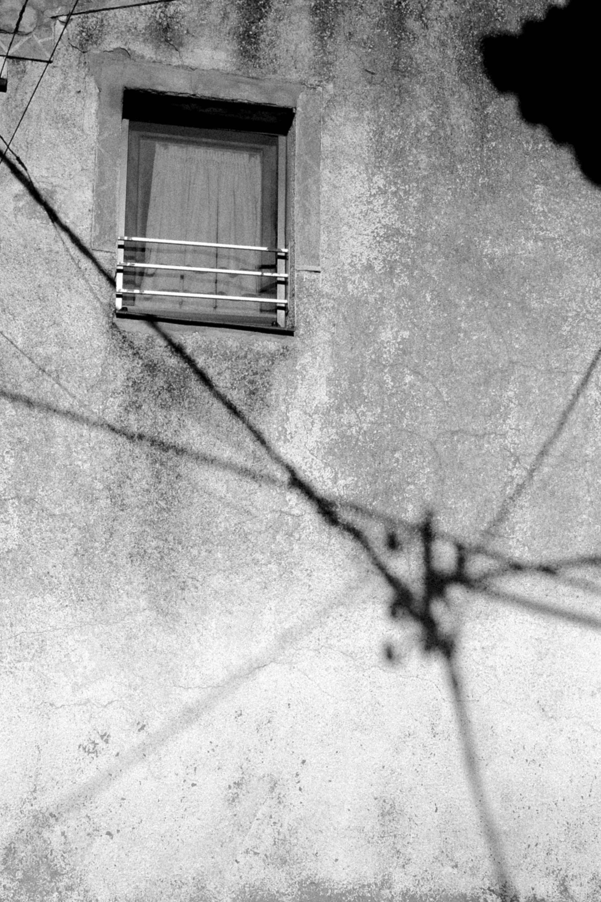 A view of a studio interior with modern decor, featuring large windows that offer a glimpse of lush greenery outside