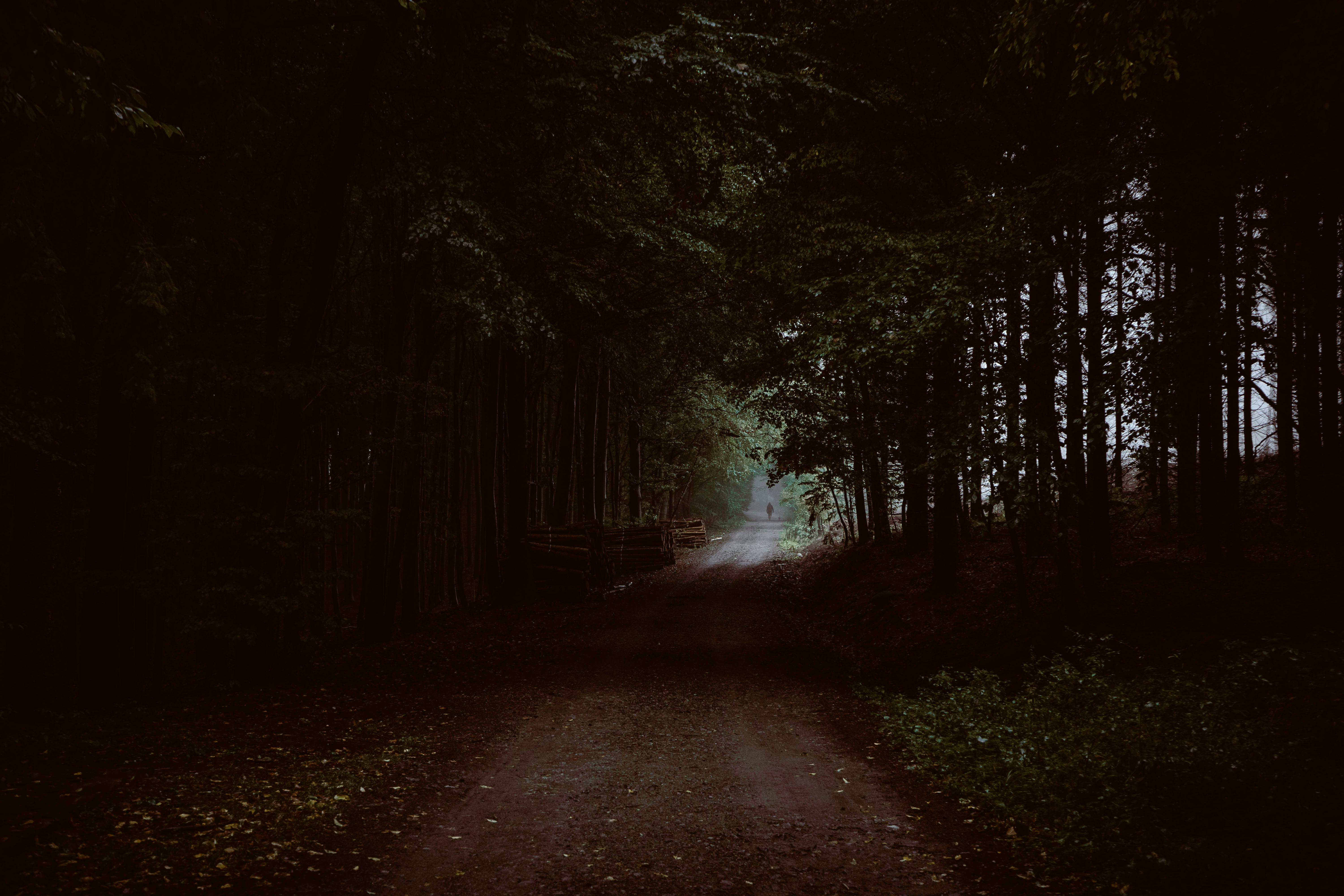 Discover studioX Crafting purposeful, creative experiences to inspire and elevate brands globally