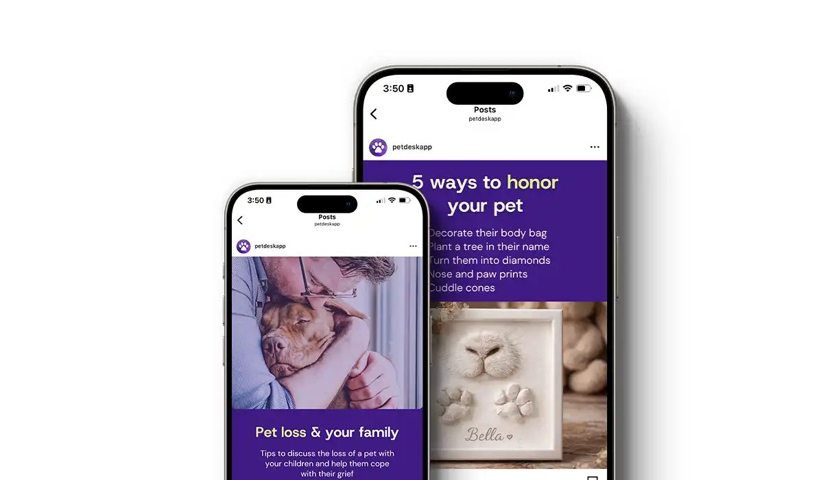Pet Loss & Grief Social Posts