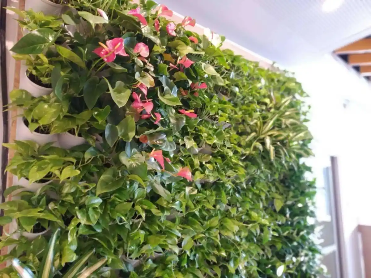 Zöld fal rendszer beltéri növényekkel