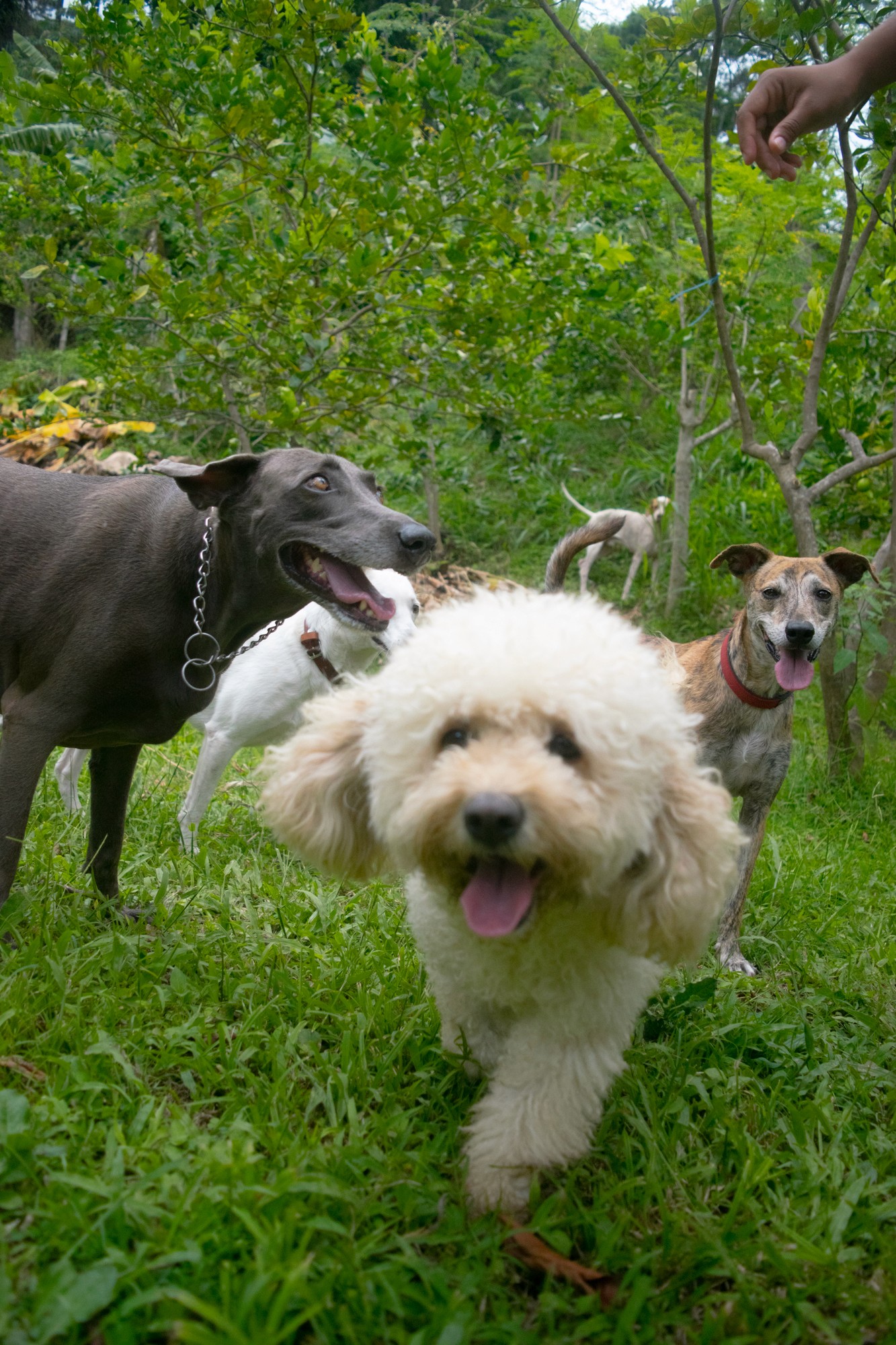 a woman holding an apple