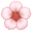 🌸