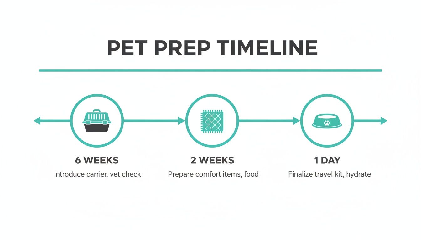 A visual timeline illustrating pet preparation steps at 6 weeks, 2 weeks, and 1 day before travel.