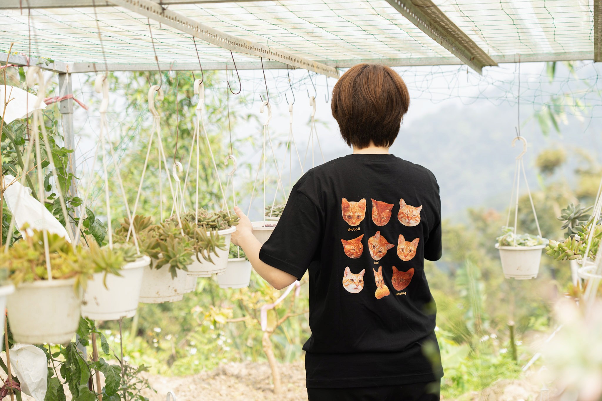 Close-up of evergreen foliage, showcasing vibrant green needles densely packed together.