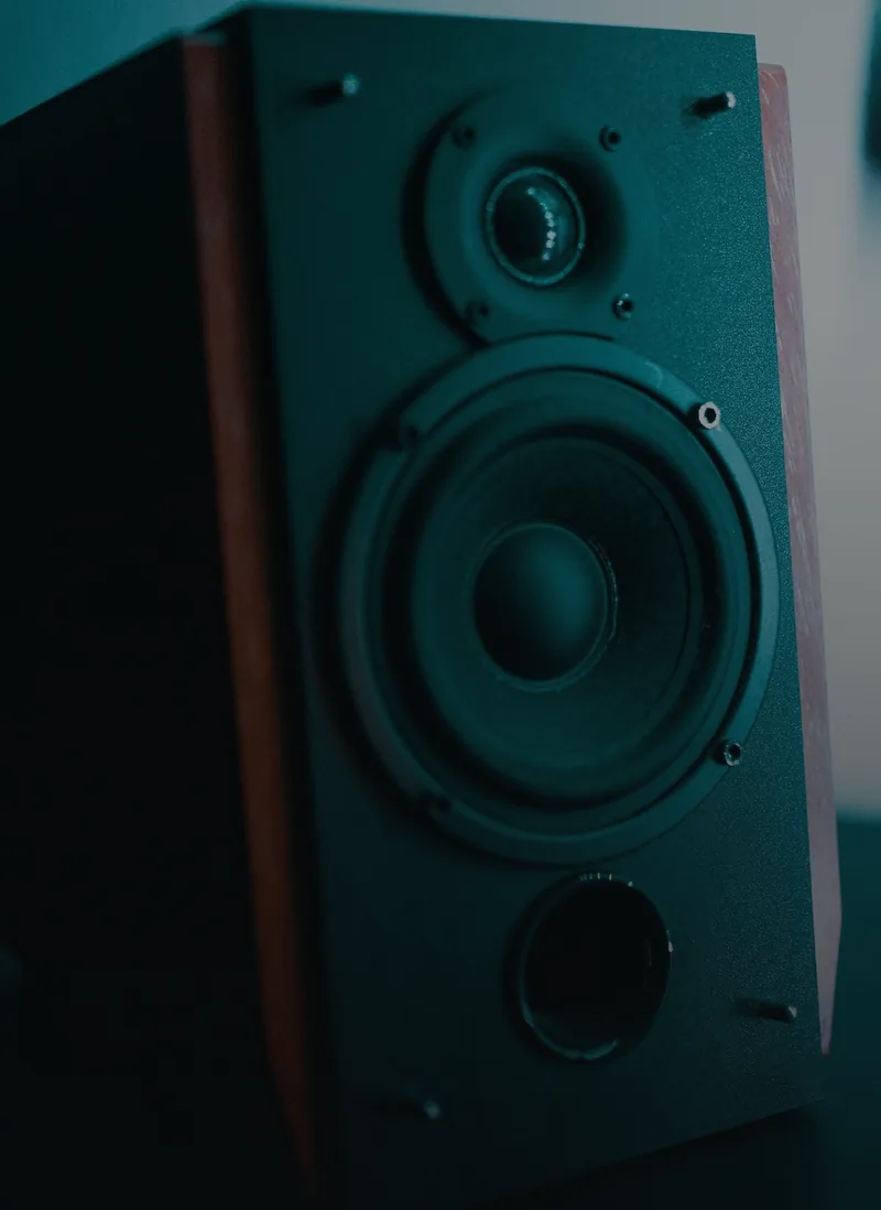 A bookshelf speaker on a dark surface