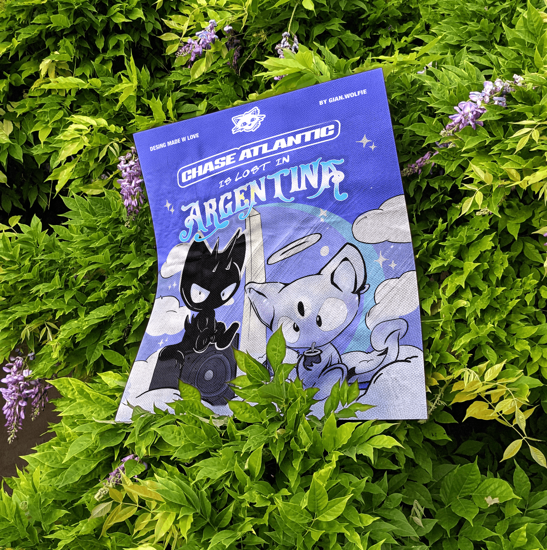 Banner Chase Atlantic x Wolfie