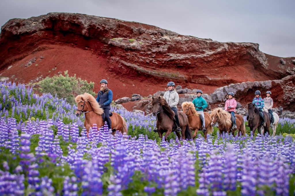一群骑手排成一行