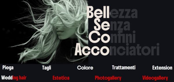 cms-aziendale  website project(artista)