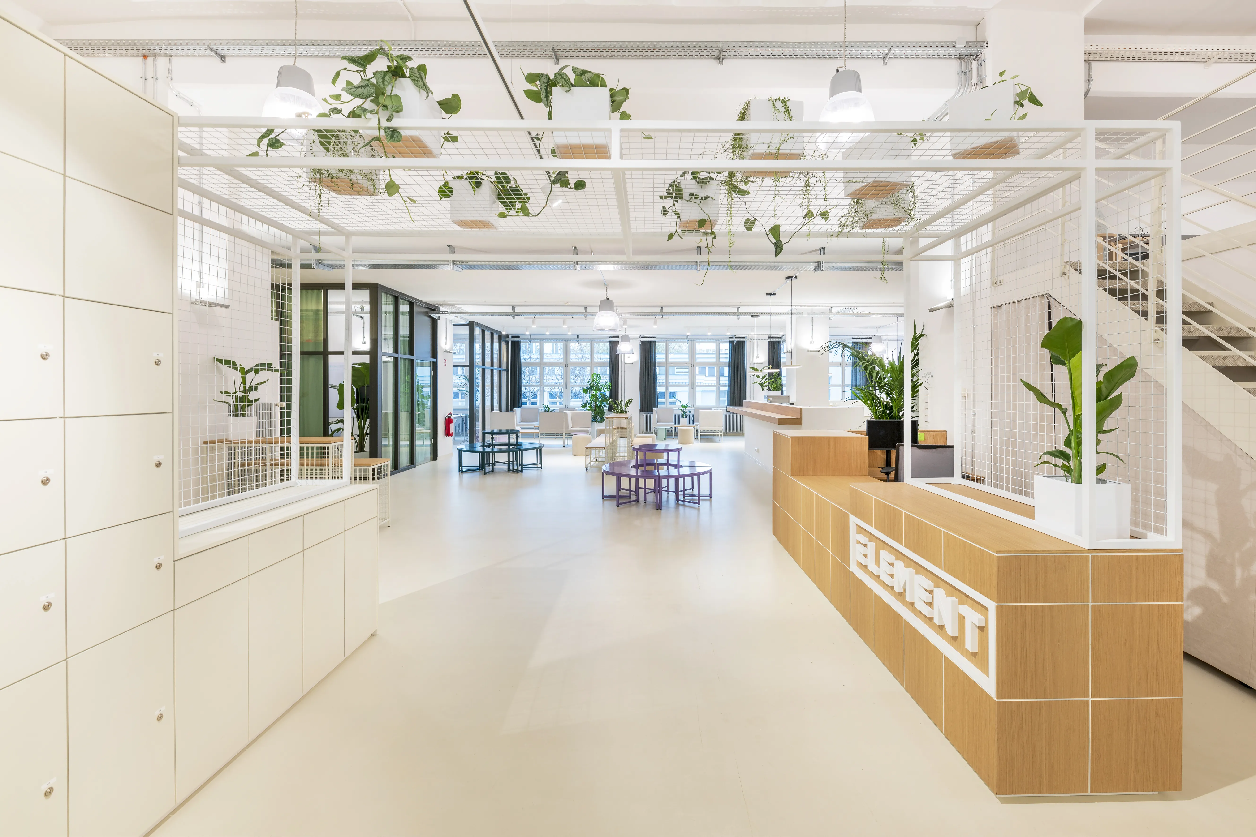 View through the ELEMENT office with a sand-tiled reception desk with oak top and logo, white grid frames with trailing plants overhead, purple kids furniture and a glazed meeting area in the back.
