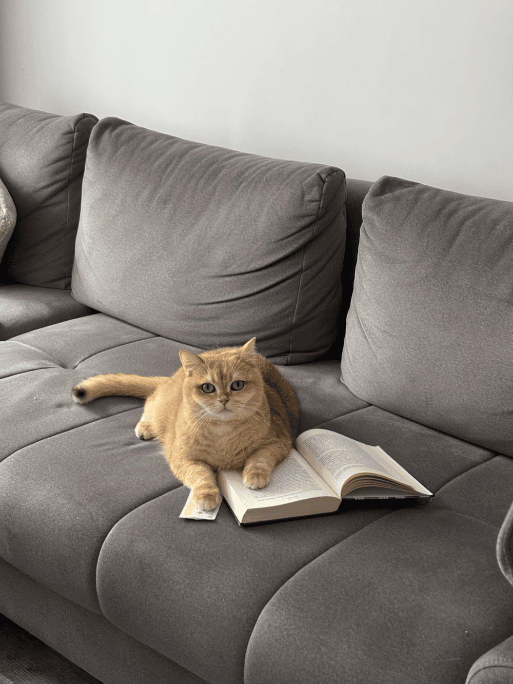 A couple stands on a sandy hill at sunset, facing away, with arms raised in a relaxed "hang loose" gesture. The scene conveys tranquility and joy.
