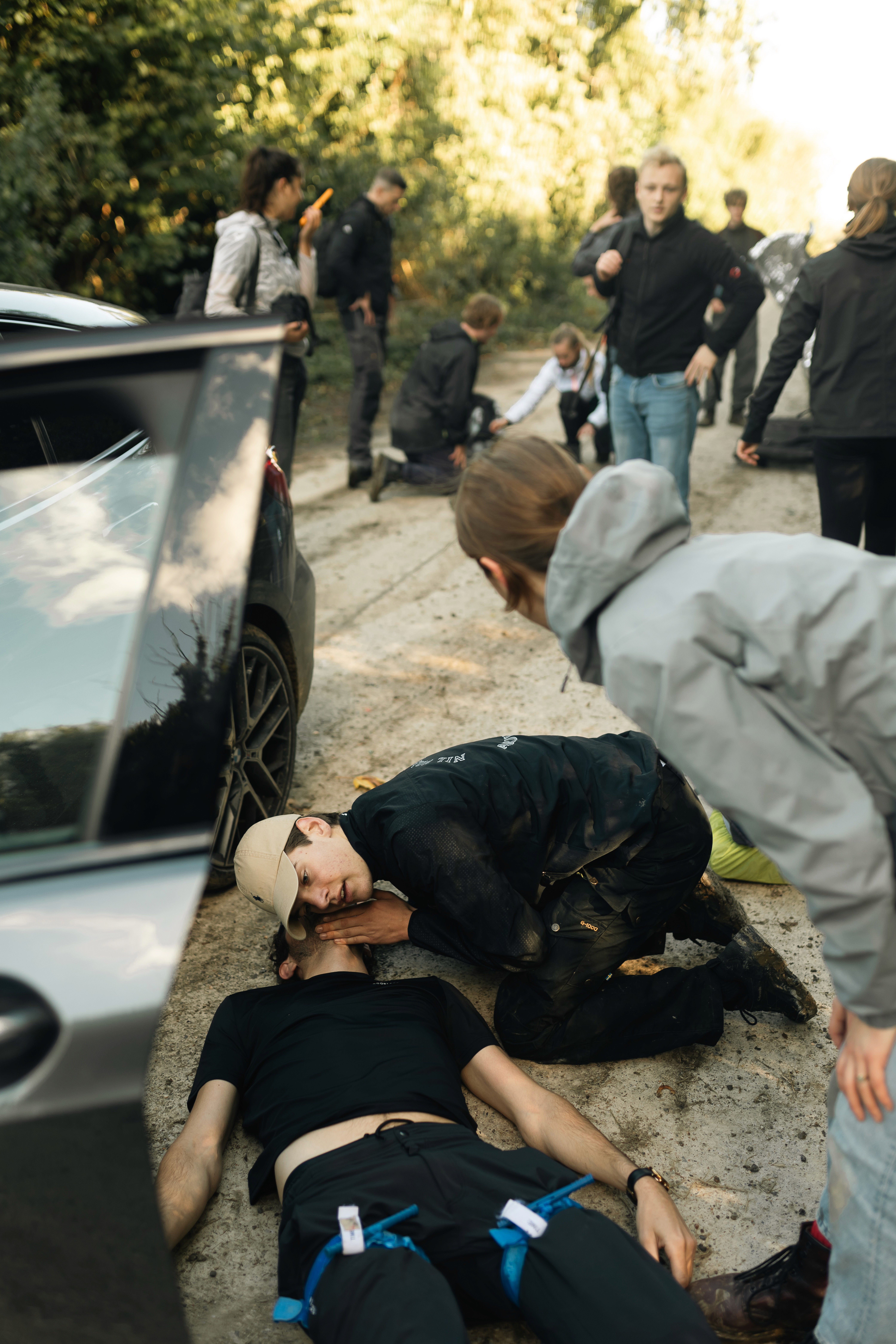 Close-up of a tree stump showing growth rings and a textured brown wood surface.