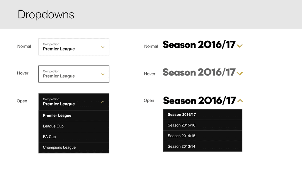 Swansea City dropdown style guide