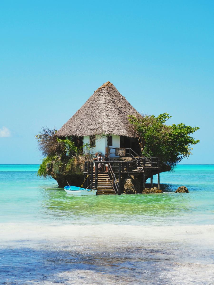 A herd of zebras walks across a dry savanna.