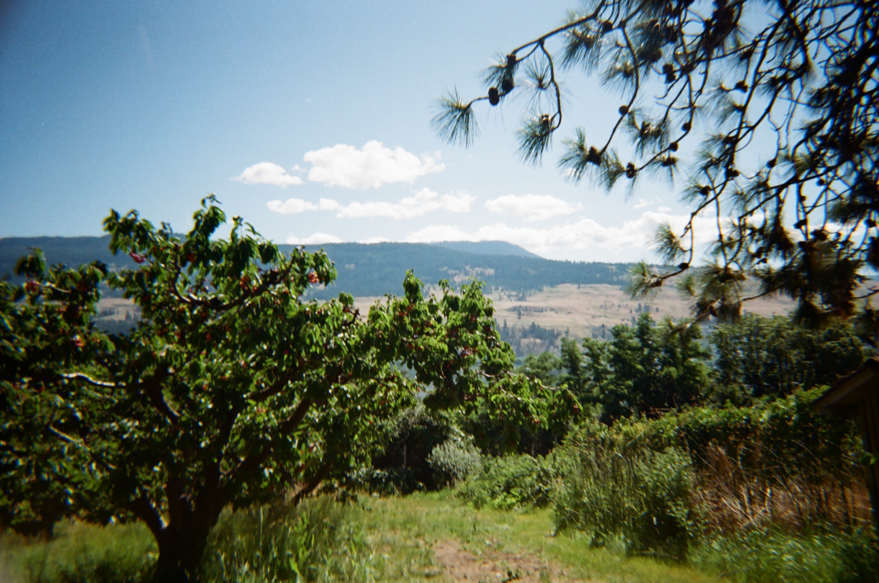 Portfolio Image
