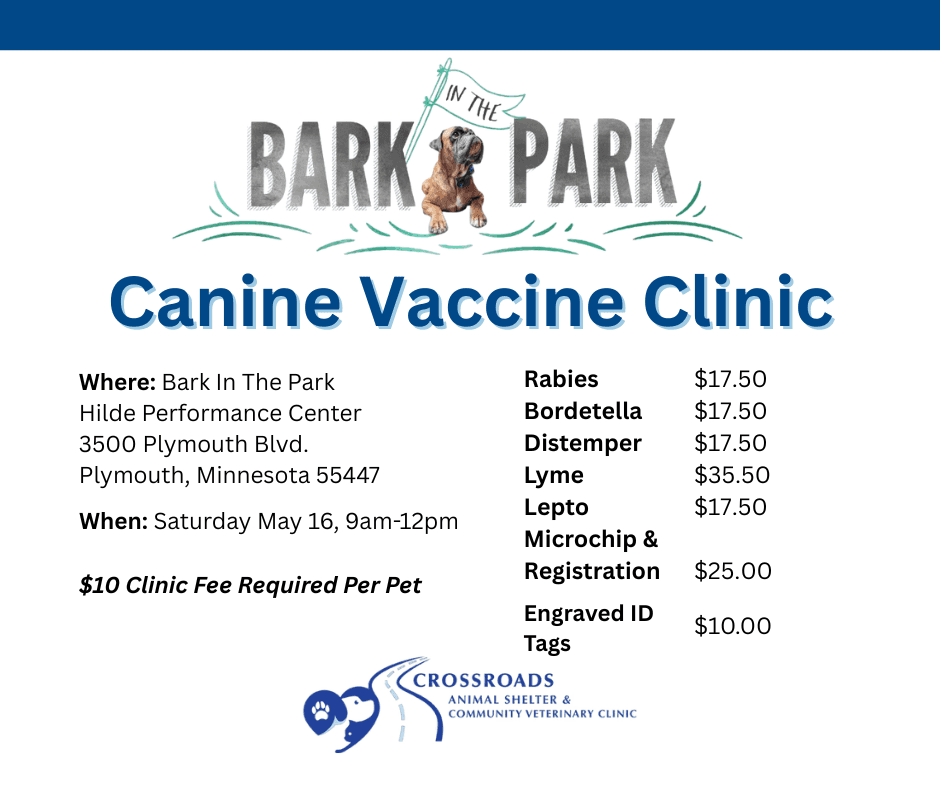 Small dog being held