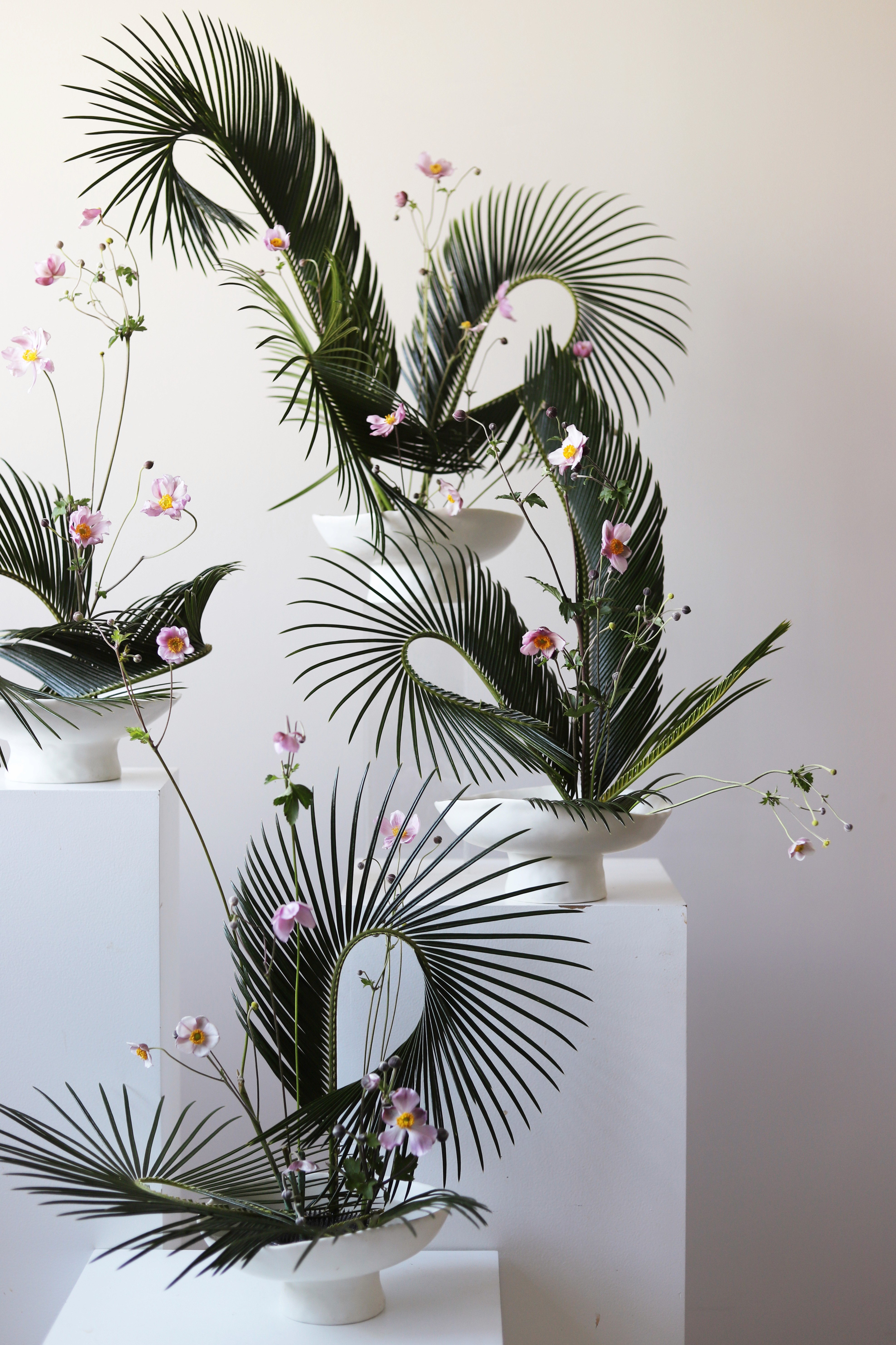 A Study of Lines & Form