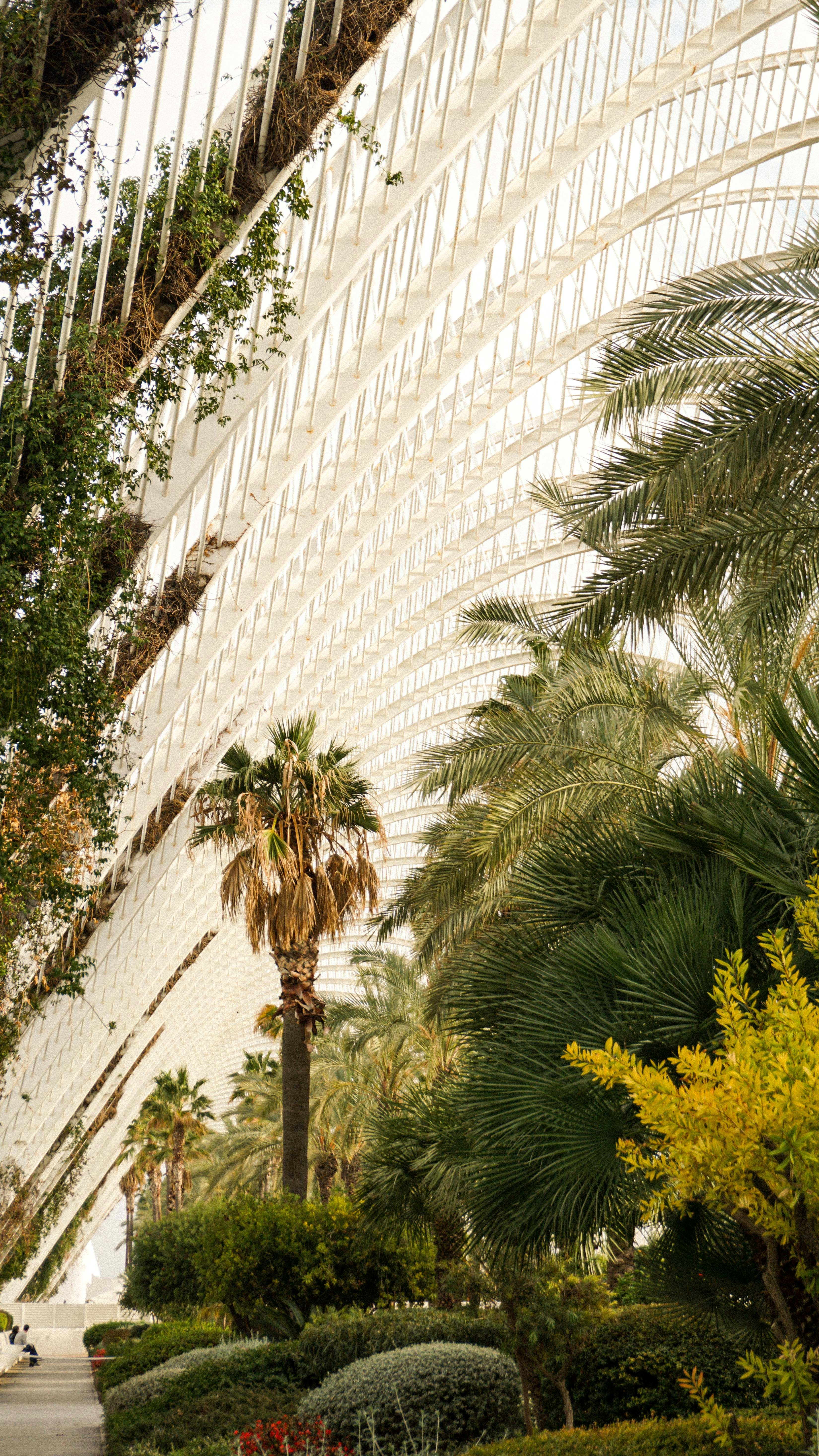 A man riding a skateboard down a street next to palm trees