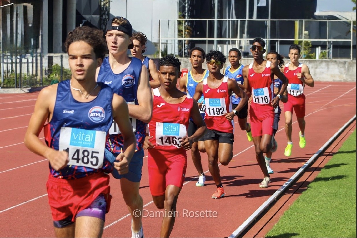 Group running in the forest