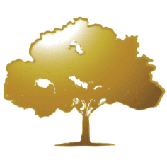 a man smiling for the camera