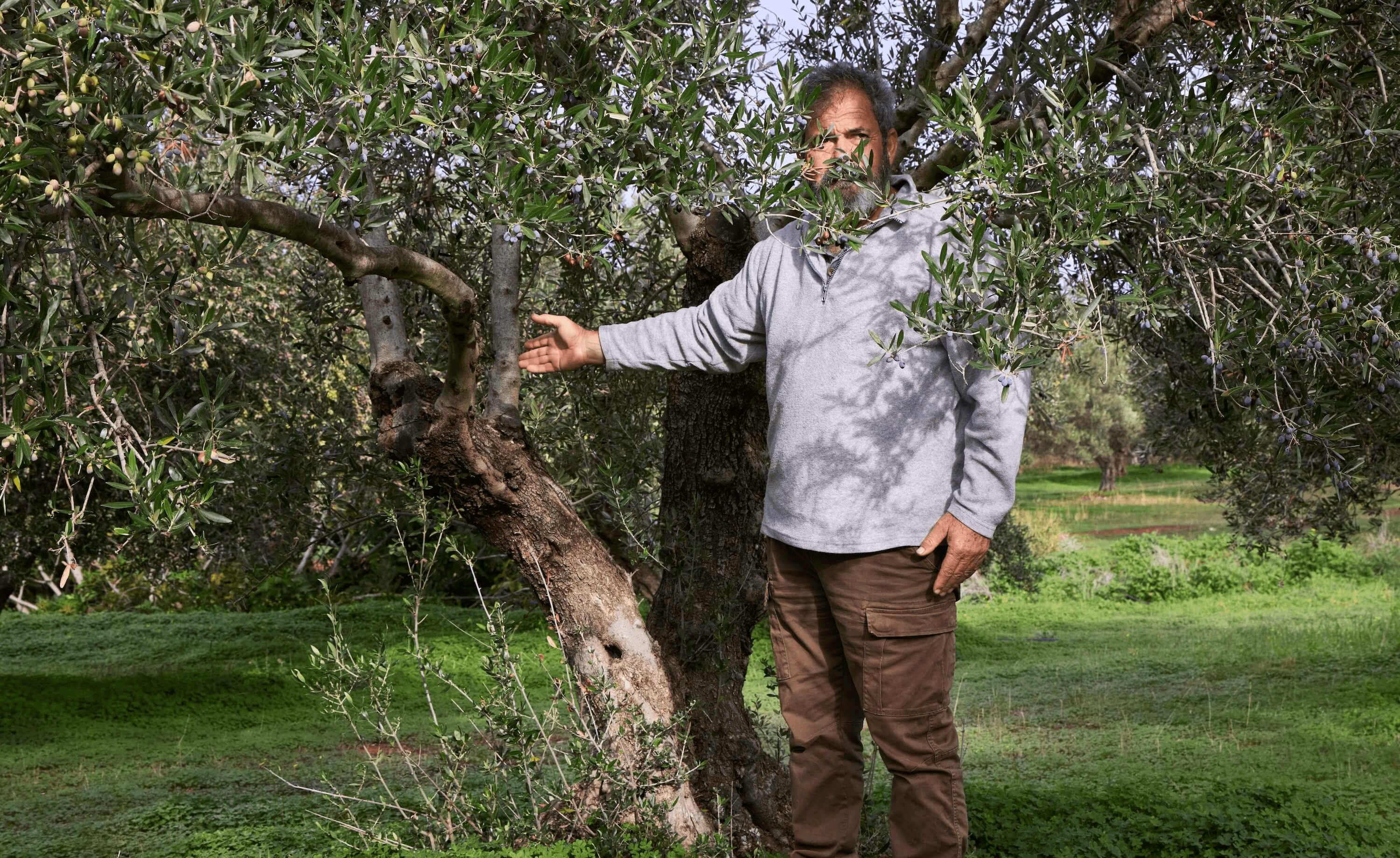 Proud farmer with his ancient and well-kept olive oil trees in Crete, Greece.