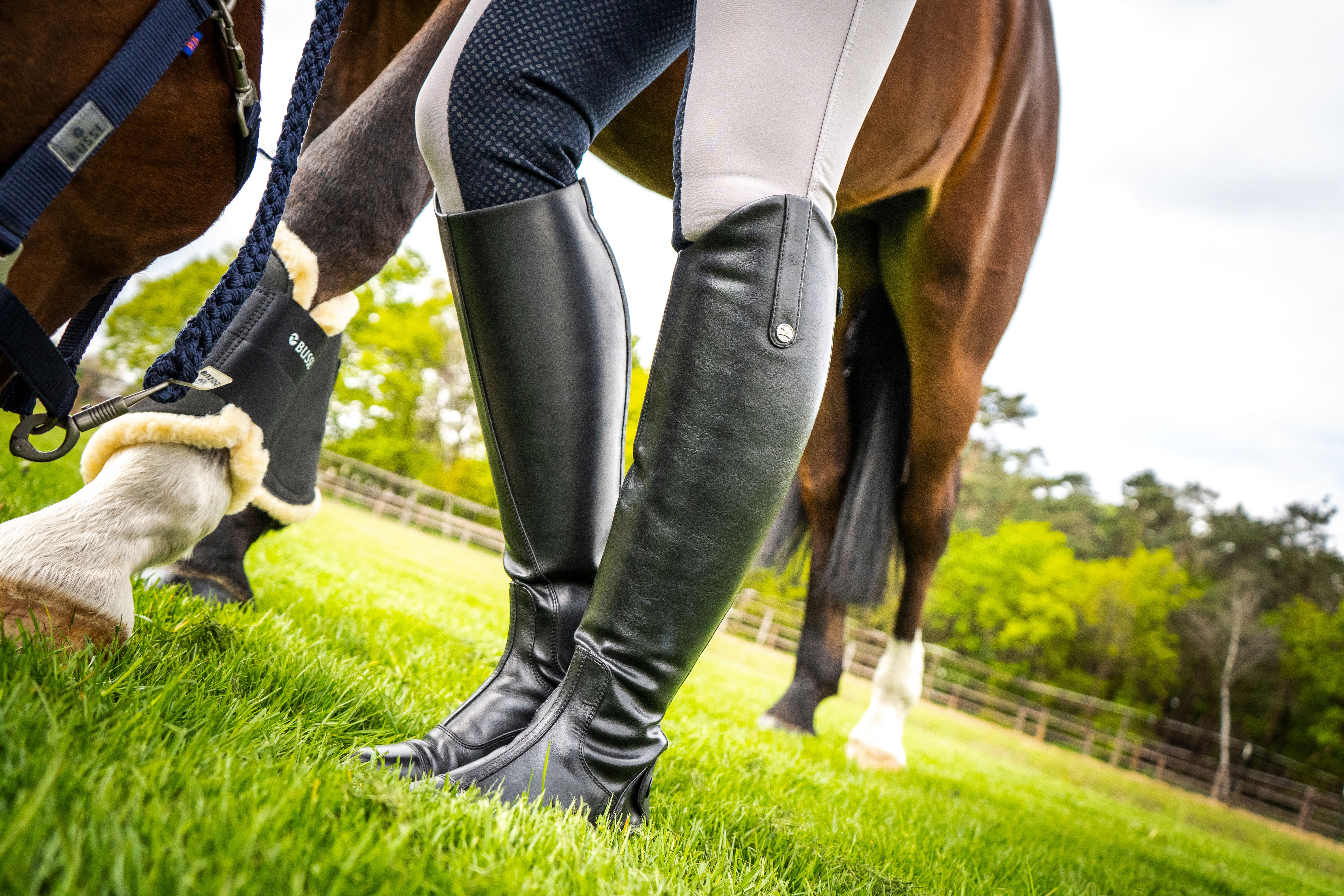 Reitsport Busse