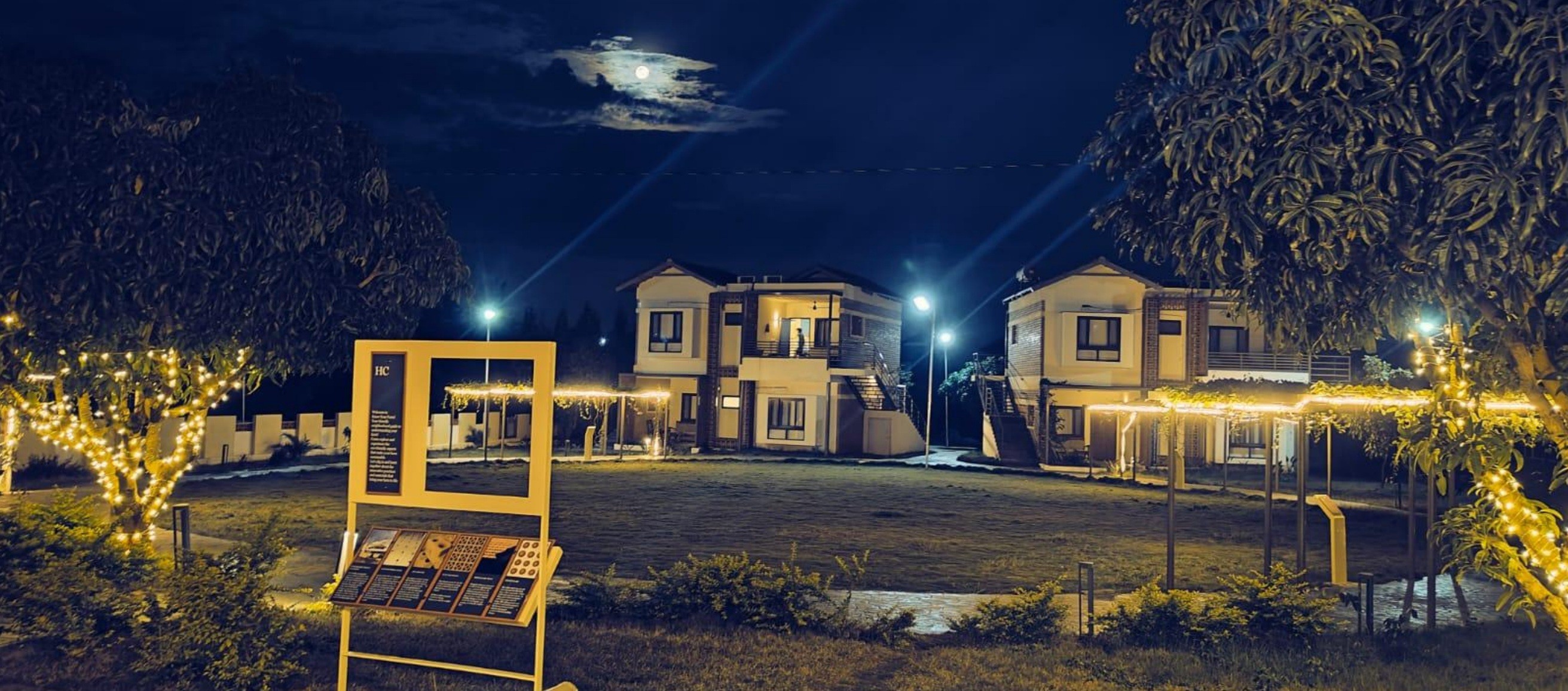 Group of hikers walking through a mountain meadow surrounded by pine trees and misty peaks.