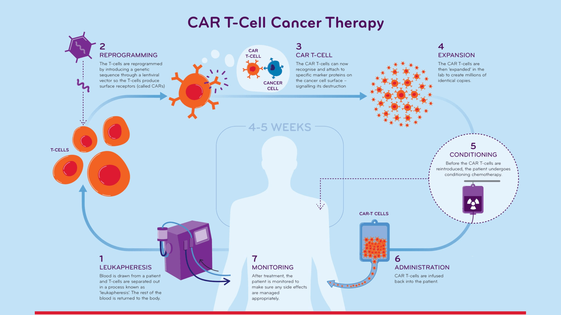 Infographic explaining CAR T-cell therapy process for cancer treatment, showing steps like reprogramming T-cells, expansion, conditioning, and administration.