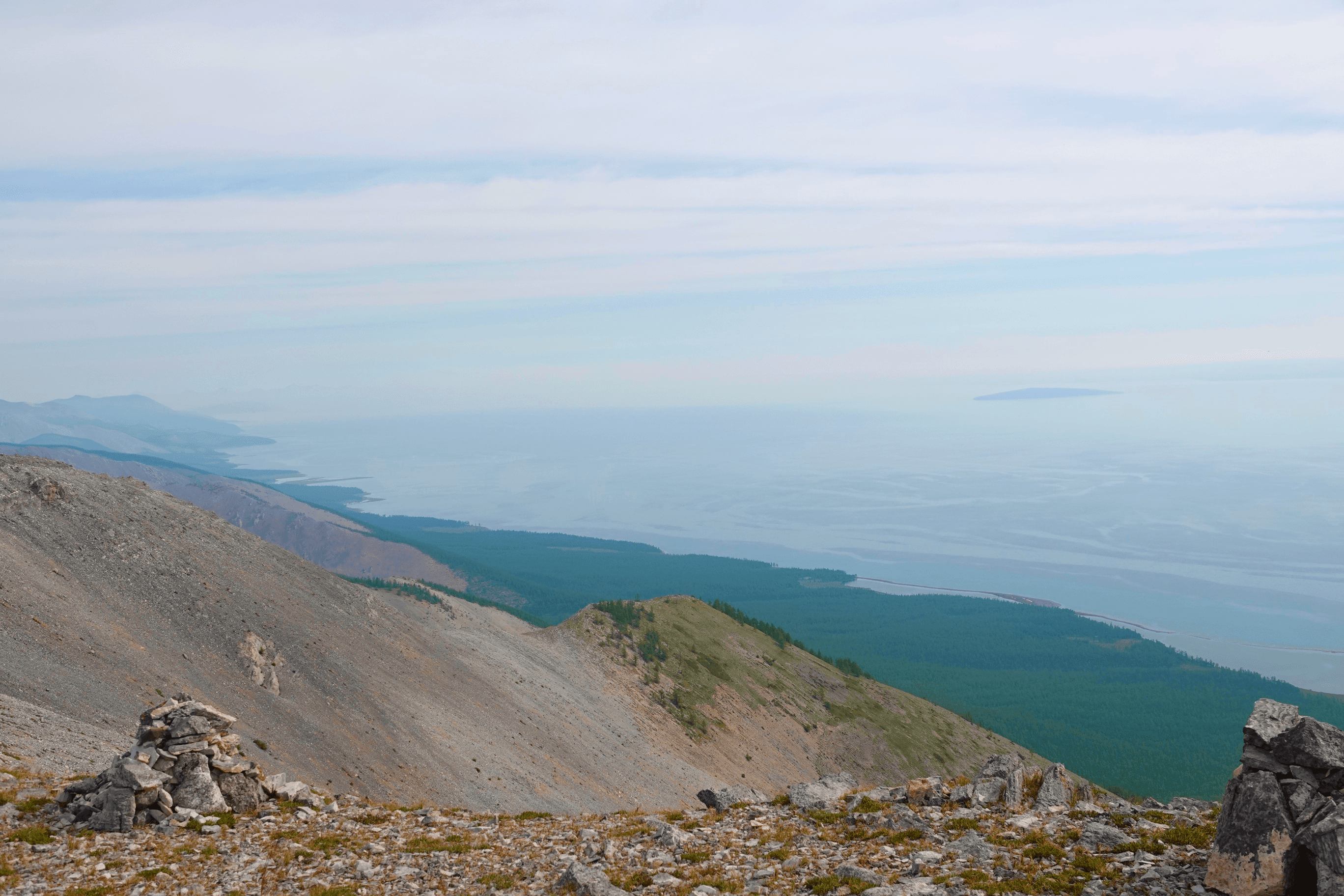 Close-up of a dark green leaf showing its textured surface and central vein against a muted background.