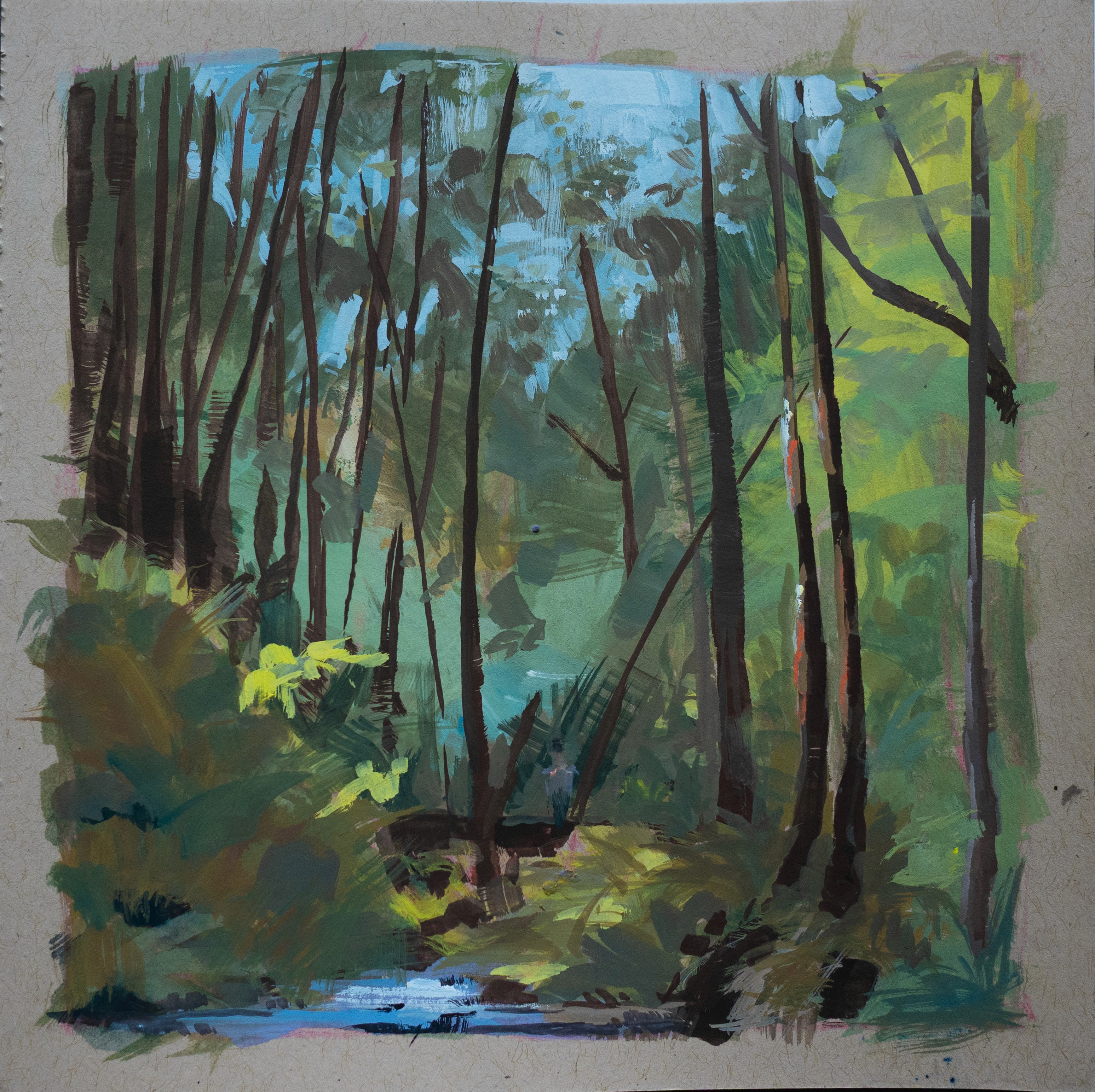 may-creek-open-space