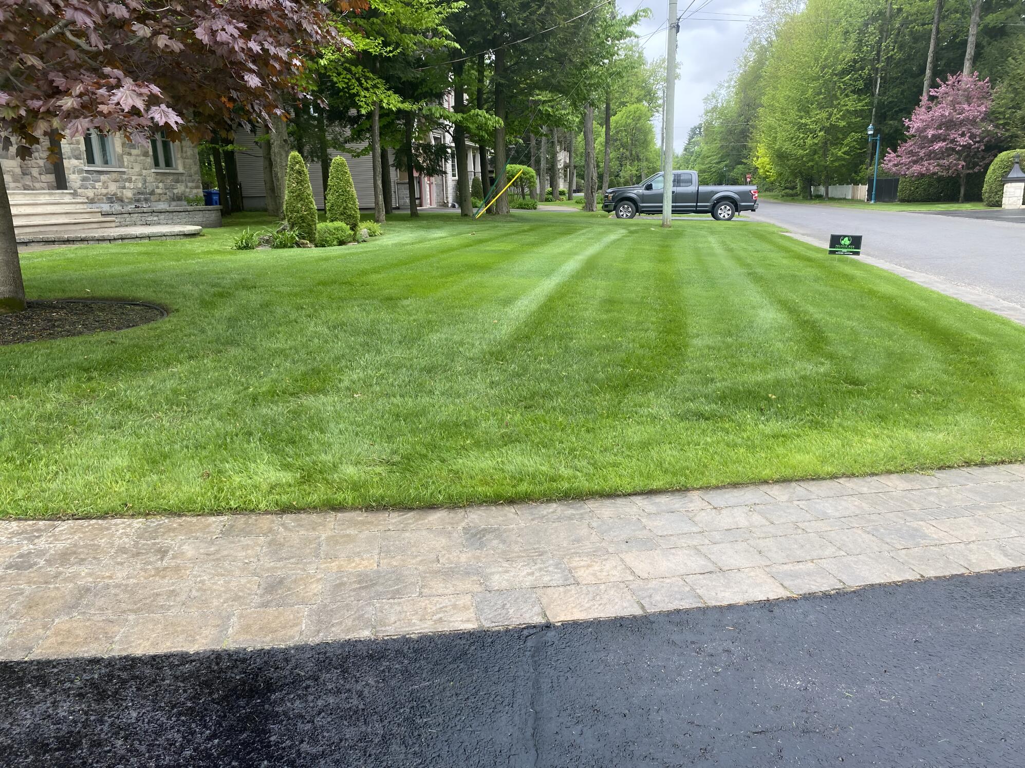 Pelouse résidentielle fraîchement tondue bordée d’un pavé et d’une allée asphaltée.