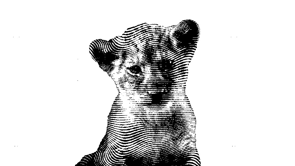Cub Stare artwork